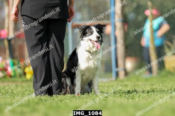 IMG_1084.jpg