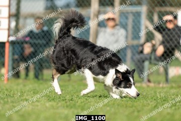 IMG_1100.jpg