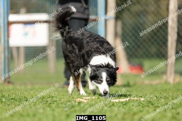 IMG_1105.jpg