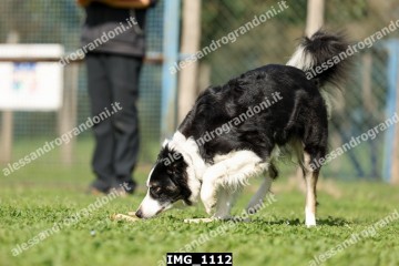IMG_1112.jpg