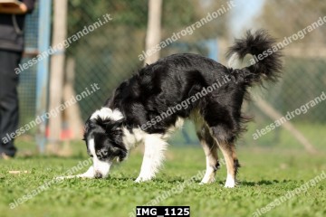 IMG_1125.jpg