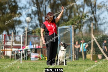 IMG_1156.jpg