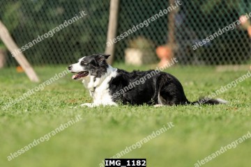 IMG_1182.jpg