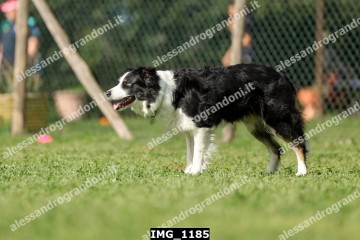 IMG_1185.jpg