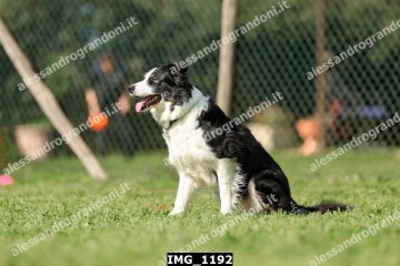 IMG_1192.jpg
