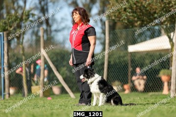 IMG_1201.jpg