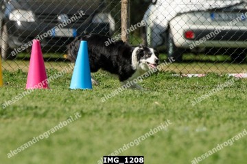 IMG_1208.jpg