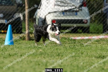 IMG_1211.jpg