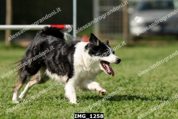IMG_1258.jpg