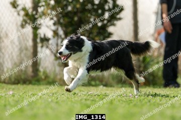 IMG_1314.jpg