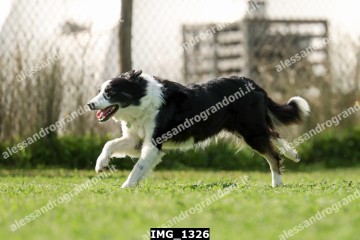 IMG_1326.jpg