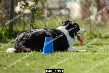 IMG_1351.jpg