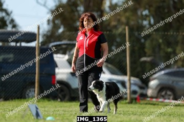 IMG_1365.jpg