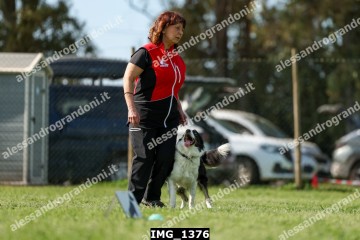 IMG_1376.jpg