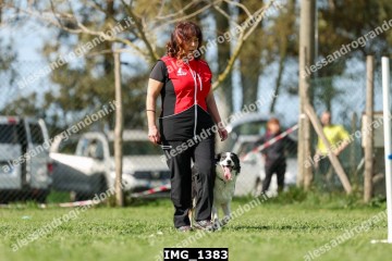 IMG_1383.jpg