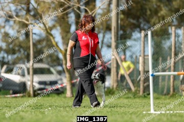 IMG_1387.jpg