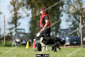 IMG_1392.jpg