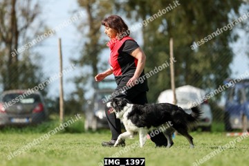 IMG_1397.jpg