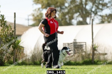 IMG_1413.jpg