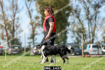 IMG_1437.jpg