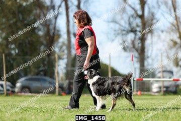 IMG_1458.jpg
