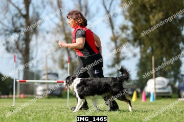 IMG_1465.jpg