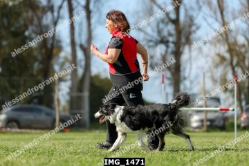 IMG_1471.jpg