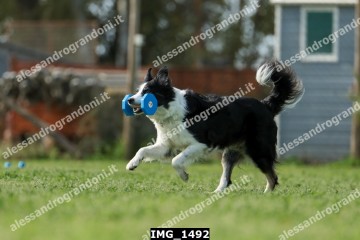 IMG_1492.jpg