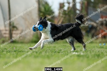 IMG_1499.jpg