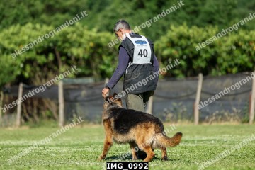 IMG_0992.jpg