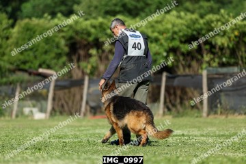 IMG_0997.jpg