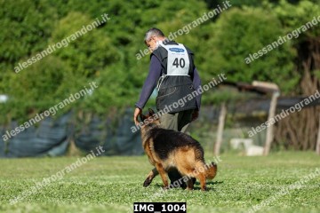 IMG_1004.jpg