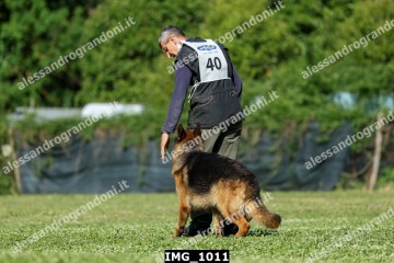 IMG_1011.jpg