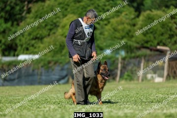 IMG_1033.jpg