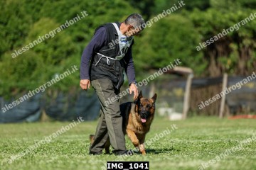 IMG_1041.jpg