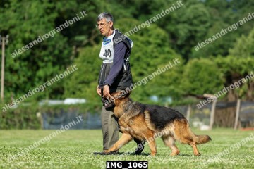 IMG_1065.jpg
