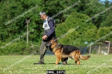 IMG_1071.jpg