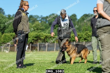 IMG_1082.jpg