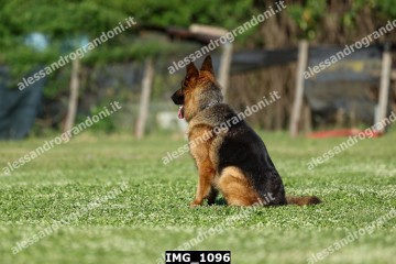 IMG_1096.jpg