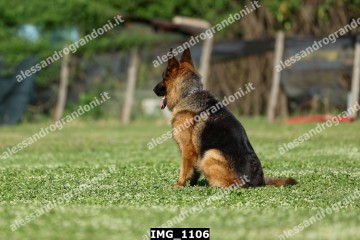 IMG_1106.jpg