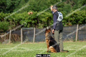 IMG_1129.jpg