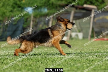 IMG_1159.jpg