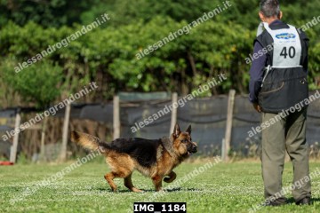 IMG_1184.jpg