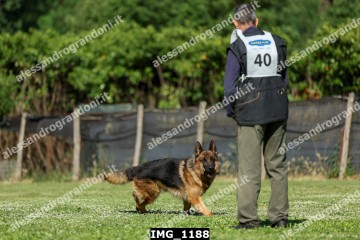 IMG_1188.jpg