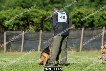IMG_1196.jpg
