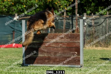 IMG_1211.jpg