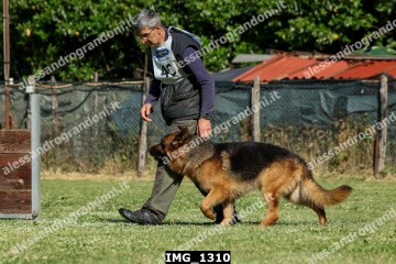 IMG_1310.jpg