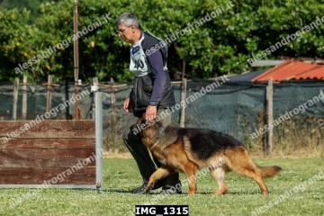 IMG_1315.jpg