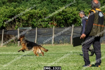IMG_1321.jpg
