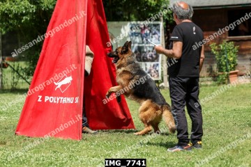 IMG_7741.jpg